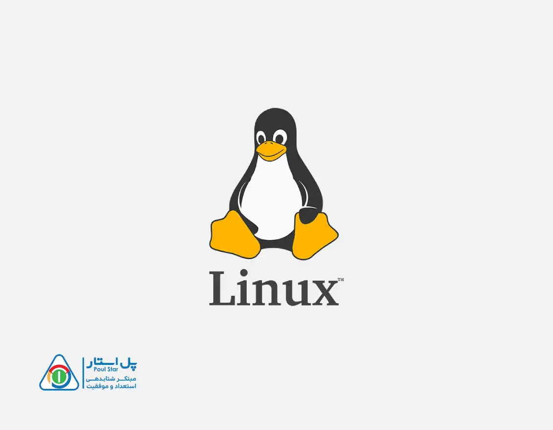 لینوکس چیست و آیا Linux مناسب برنامه نویسی است؟
